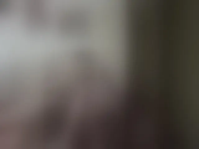 Live sex webcam photo for LizaLuxer #293381085
