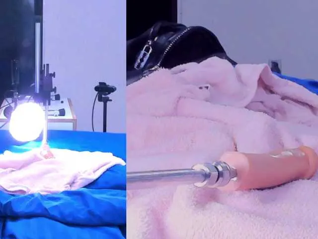 Live sex webcam photo for Lizz-Bela #291768852