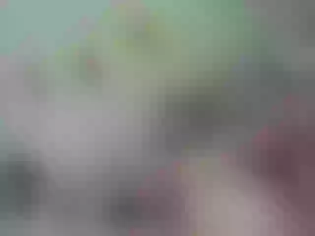 Live sex webcam photo for LizzAndAnnie #276471318