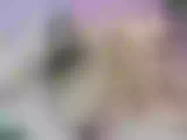 Live sex webcam photo for lizzarobert #271724132
