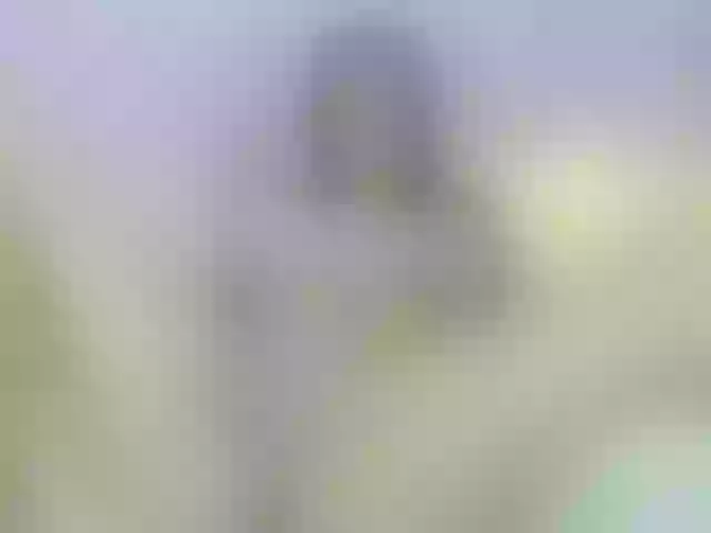 Live sex webcam photo for lizzarobert #272463661