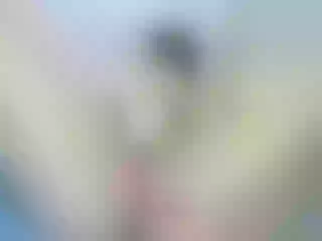 Live sex webcam photo for lizzarobert #273626616