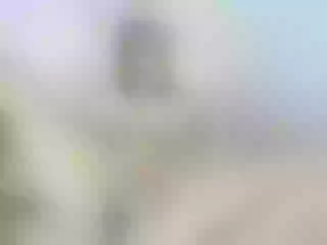 Live sex webcam photo for lizzarobert #274069288