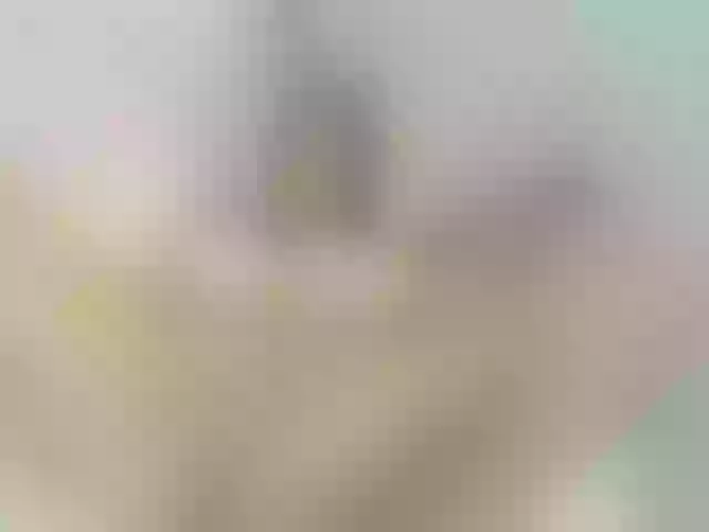 Live sex webcam photo for lizzarobert #274115137