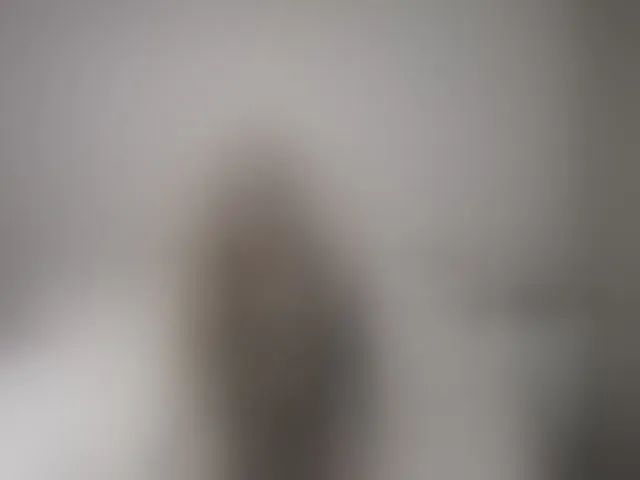 Live sex webcam photo for LizzieBrait #292499793