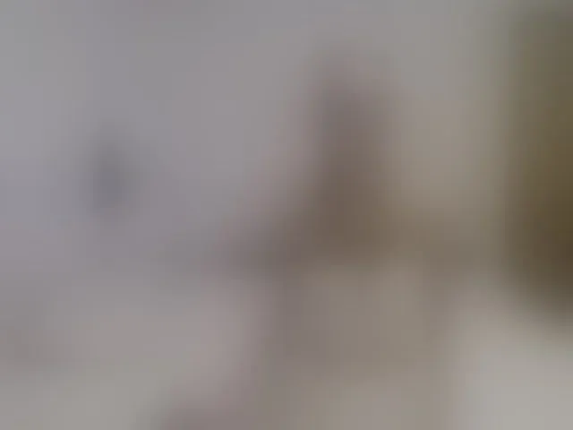 Live sex webcam photo for LizzieBrait #292667288