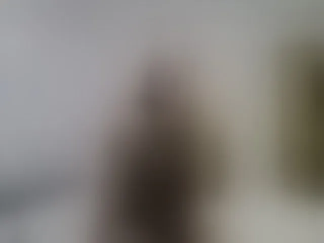 Live sex webcam photo for LizzieBrait #292976053