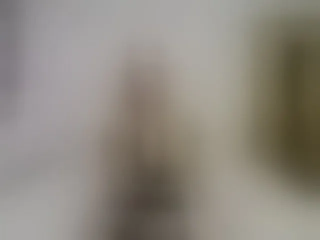Live sex webcam photo for LizzieBrait #293181827