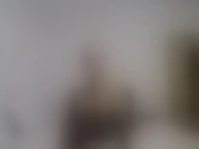Live sex webcam photo for LizzieBrait #293310688