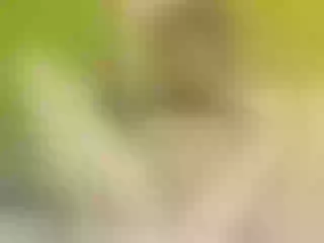 Live sex webcam photo for LizzieGolden #291424910