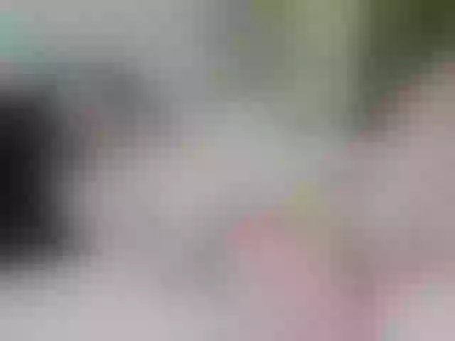 Live sex webcam photo for Logan-emma #291599511