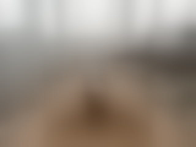 Live sex webcam photo for Logic-404a
