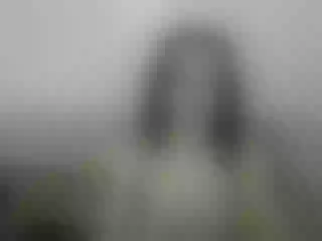 Live sex webcam photo for Lola-Aella13 #288079426