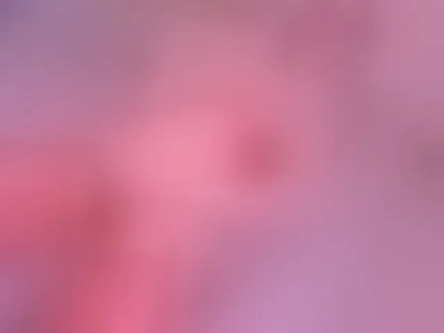 Live sex webcam photo for Lola1-1 #293480492