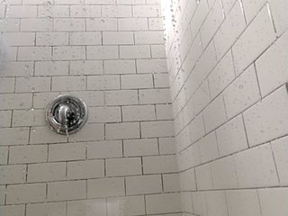 Live sex webcam photo for LolaChastain #161206759