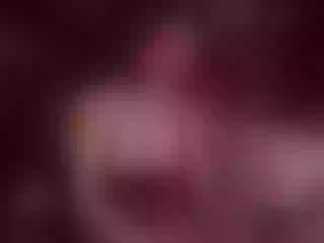 Live sex webcam photo for LolaHornyXXX #291235487