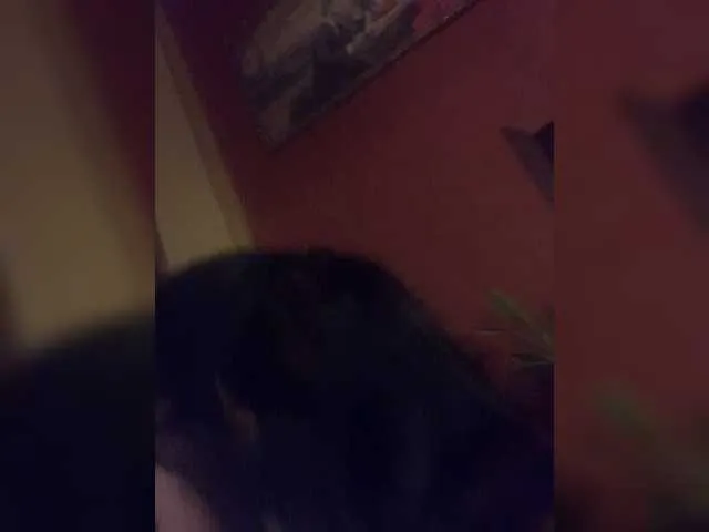 Live sex webcam photo for Lolaley #272541796