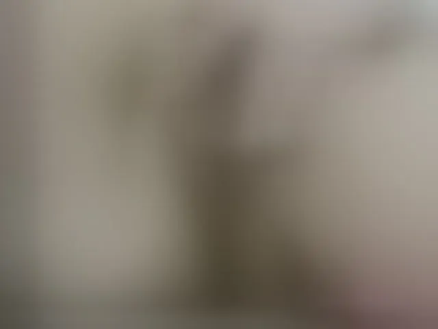 Live sex webcam photo for Lolaxx-x #292424675