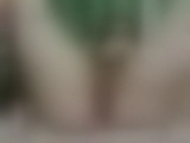 Live sex webcam photo for Lolaxx-x #292713909