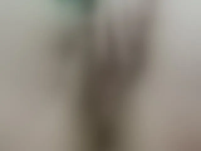 Live sex webcam photo for Lolaxx-x #292940441
