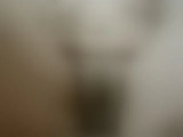 Live sex webcam photo for Lolaxx-x #293154466
