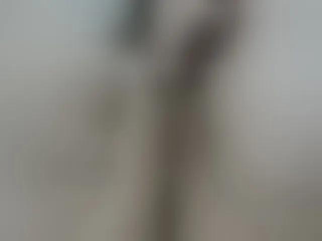 Live sex webcam photo for Lolaxx-x #293648931