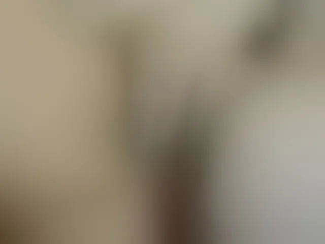 Live sex webcam photo for Lolaxx-x #293768804