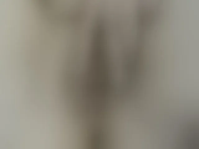 Live sex webcam photo for Lolaxx-x #293889850