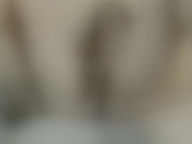 Live sex webcam photo for Lolaxx-x #293899109