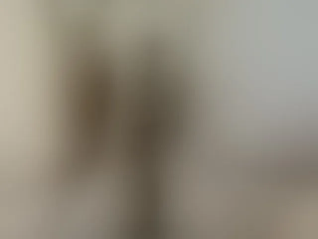 Live sex webcam photo for Lolaxx-x #293910705