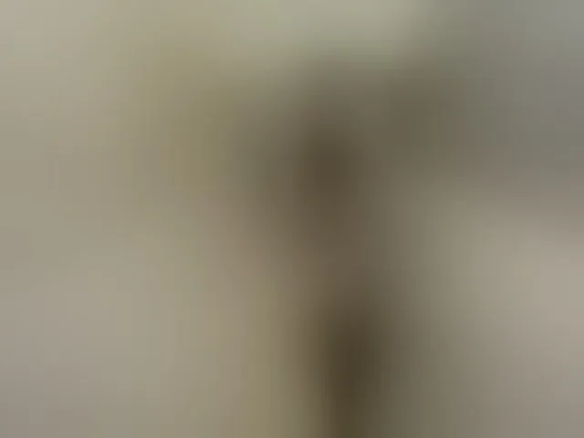 Live sex webcam photo for Lolaxx-x #293927980