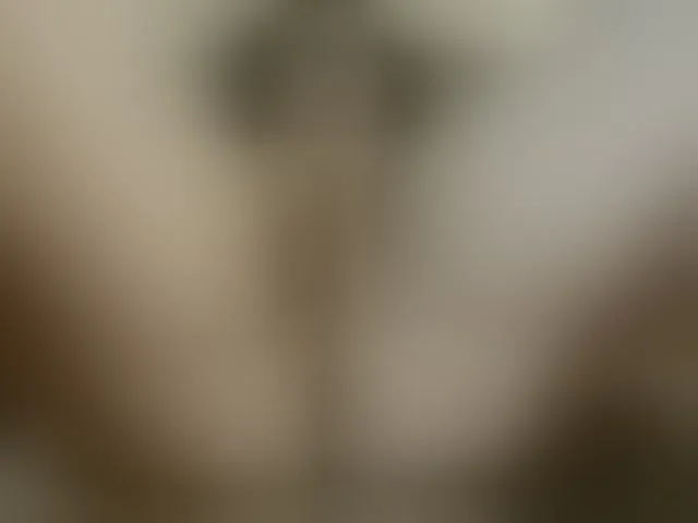 Live sex webcam photo for Lolaxx-x #293933312