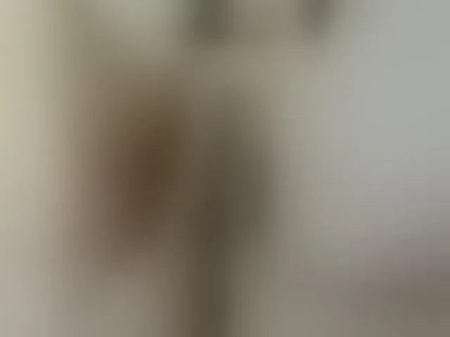 Live sex webcam photo for Lolaxx-x #293956551
