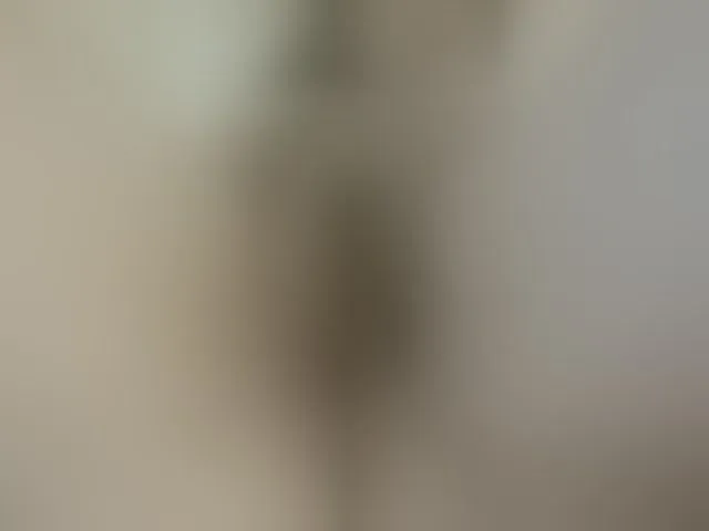 Live sex webcam photo for Lolaxx-x #293993239