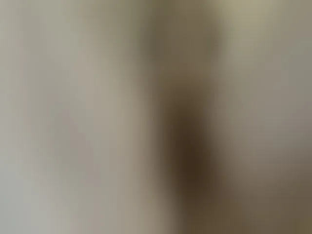 Live sex webcam photo for Lolaxx-x #294002169