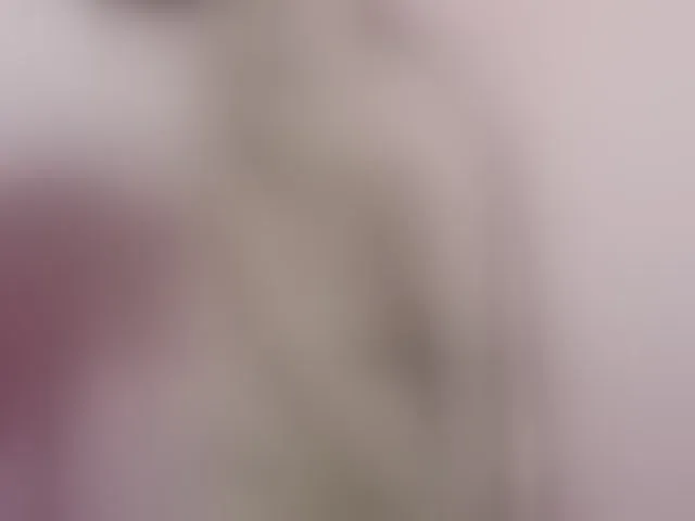 Live sex webcam photo for Lolaxx-x #294108656