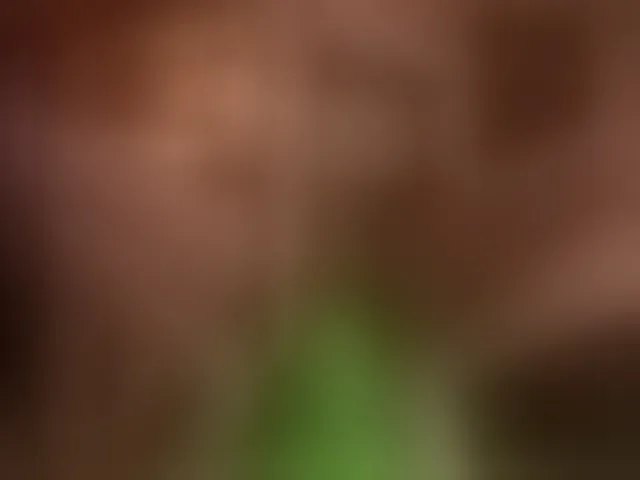 Live sex webcam photo for Lolypop19 #291293133