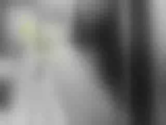 Live sex webcam photo for Lona-S #291955001
