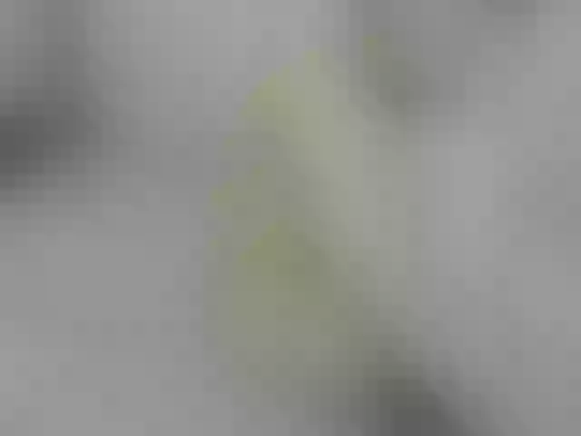 Live sex webcam photo for LopnLous #273246321