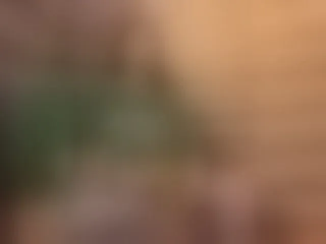 Live sex webcam photo for LopnLous #277448395