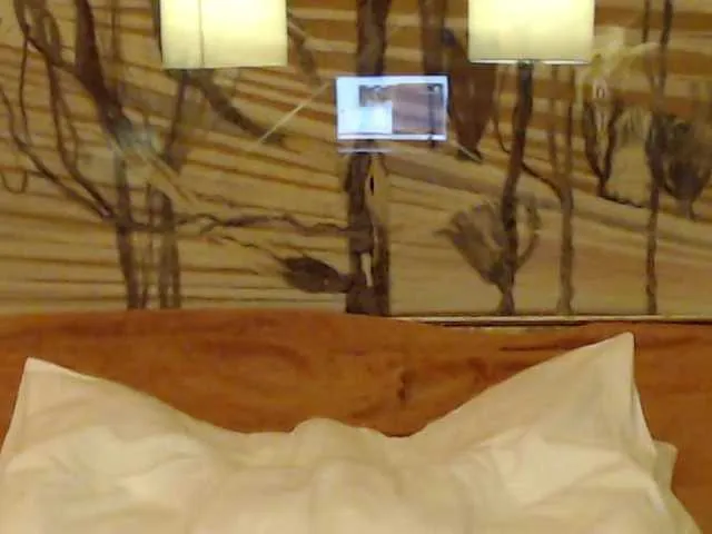 Live sex webcam photo for Lora8888 #291238851