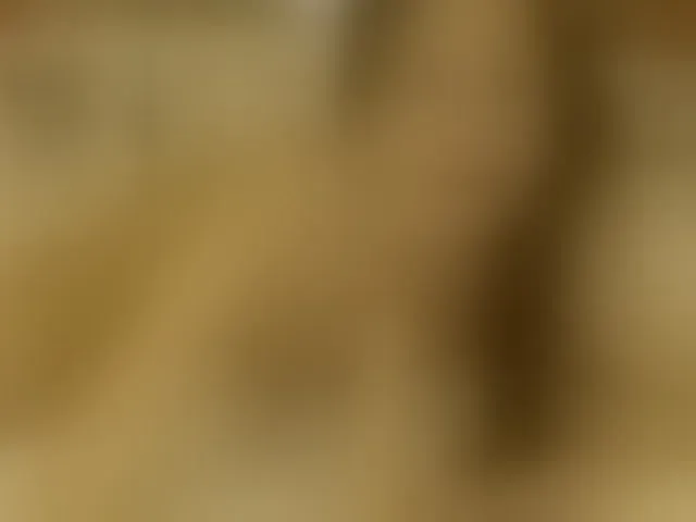 Live sex webcam photo for Lora8888 #292945484