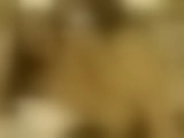 Live sex webcam photo for Lora8888 #293247380