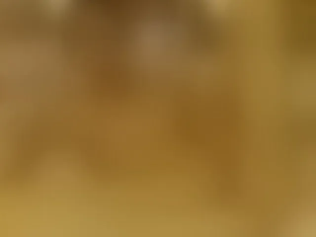 Live sex webcam photo for Lora8888 #293297044