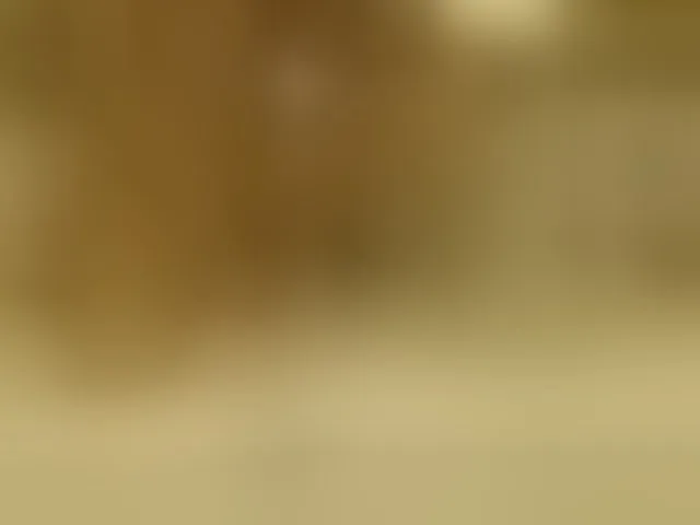 Live sex webcam photo for Lora8888 #293383211