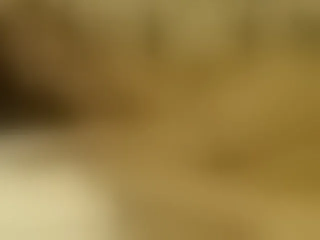Live sex webcam photo for Lora8888 #293490443