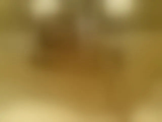 Live sex webcam photo for Lora8888 #293638135