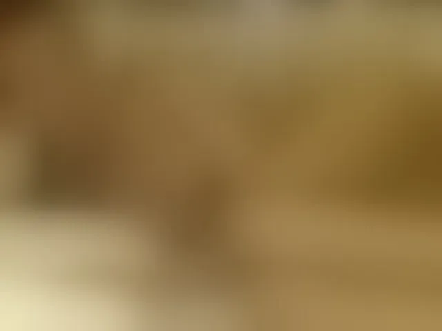 Live sex webcam photo for Lora8888 #293980890