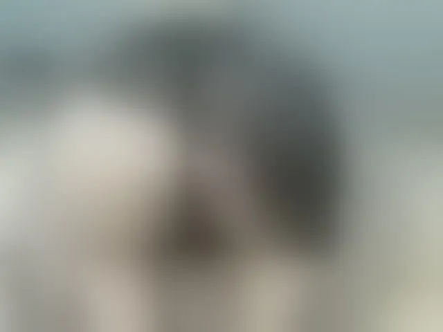 Live sex webcam photo for LoraMiss #294147395