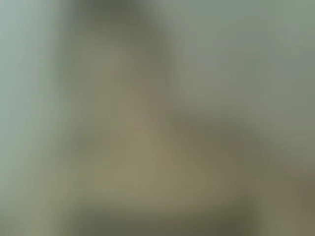 Live sex webcam photo for LorahXVane #293107962